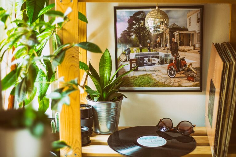 How to Refresh Your Home with Plants: Easy Ideas for a Greener Space